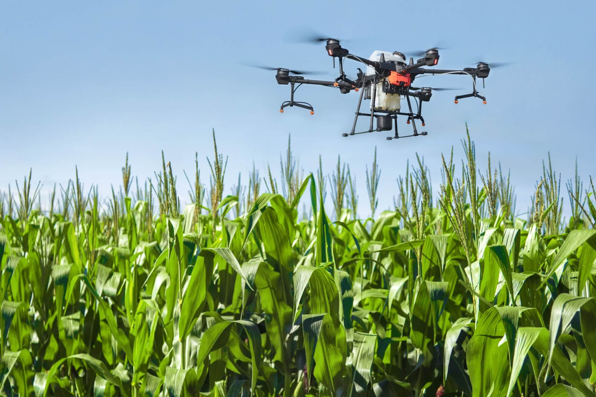 Transforming Farming with DJI Crop Spraying Drone in Auburn