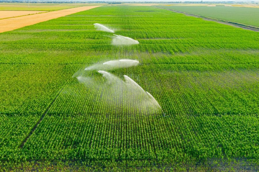 Regulations for Aerial Crop Spraying in Auburn, Alabama