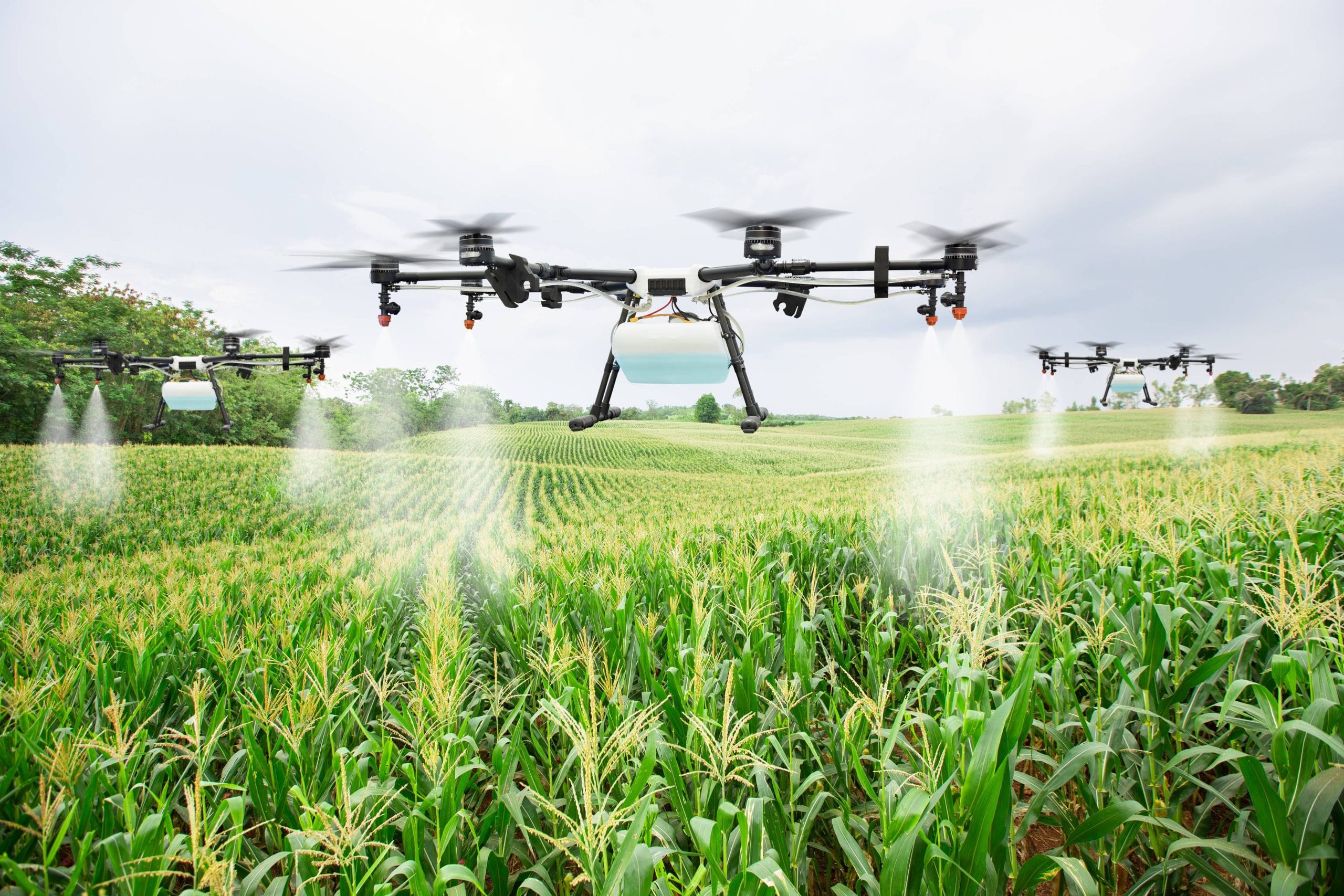 Buying the Best Agricultural Spraying Drones in Auburn