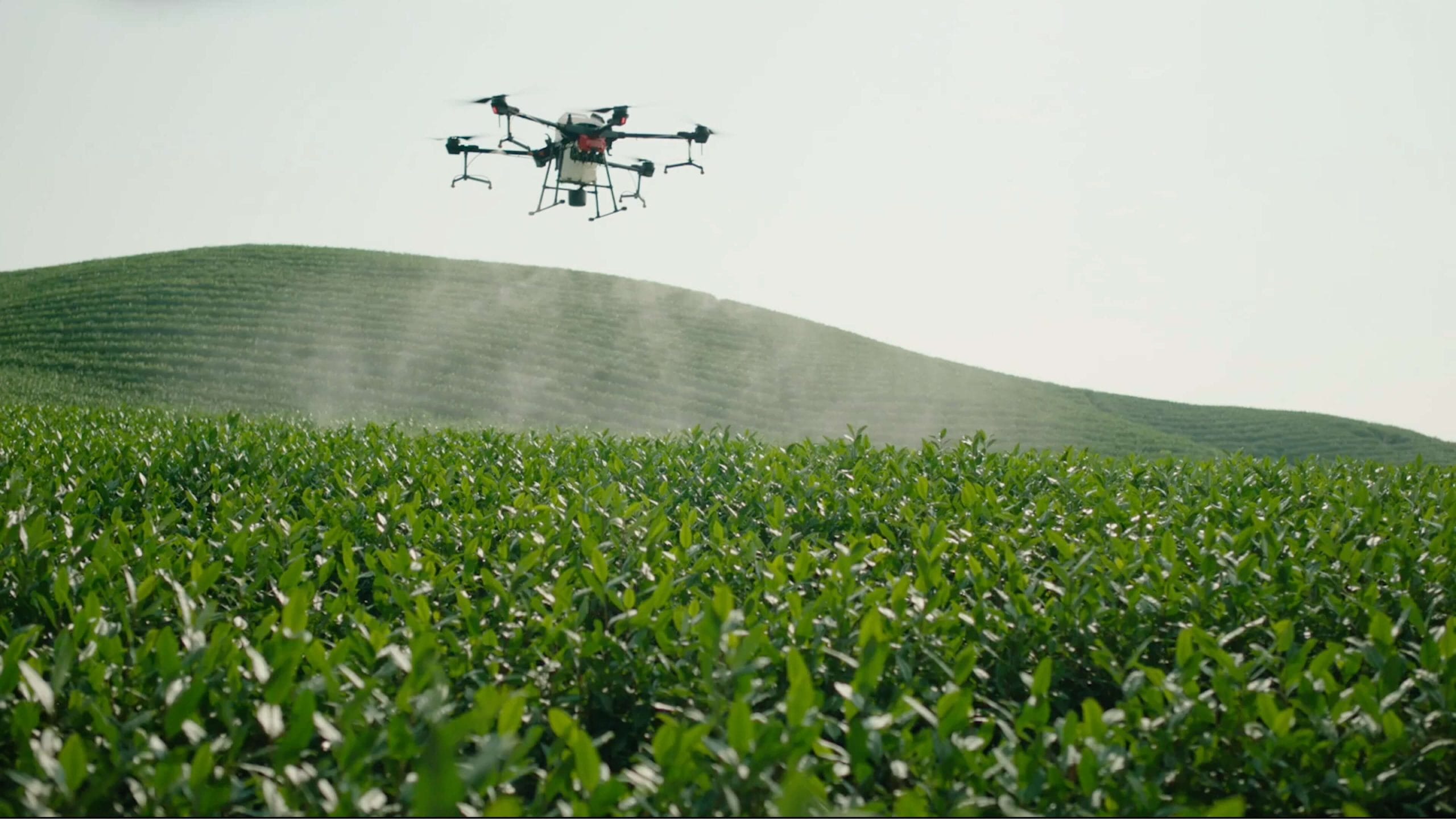 Easy Crop Care with DJI Agriculture Spraying Drone in Auburn
