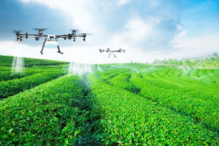 DJI Agriculture Spraying Drone in Auburn