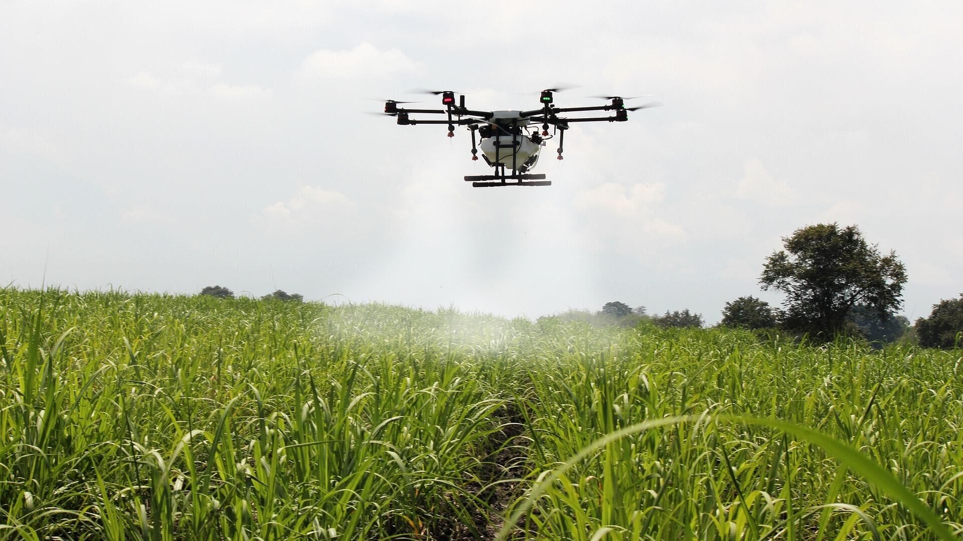 Efficient Food and Crop Harvest with Drone Spraying Services